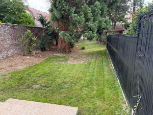 Photo de galerie - Tonte