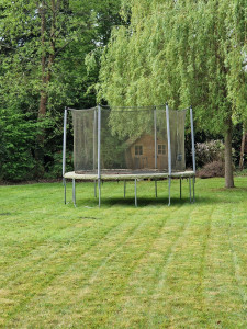 Photo de galerie - Tonte après 