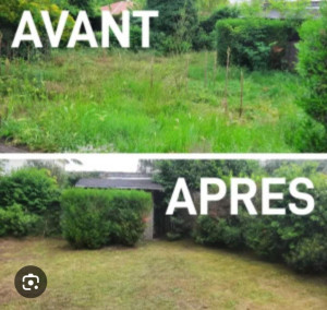Photo de galerie - Entretien jardin 