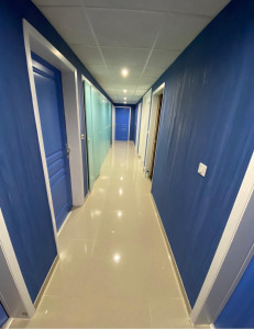 Photo de galerie - Rénovation complète d’un couloir : pose de papier peint, peinture des portes en bleu, et remise à neuf des encadrements et de l’ascenseur en blanc.