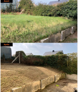 Photo de galerie - Taille de haie, remise en forme 