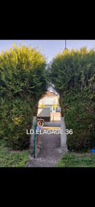 Photo de galerie - Taille de haies et d'arbustes