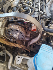 Photo de galerie - Toute sorte de réparation kit de distribution 