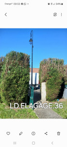 Photo de galerie - Taille de haies et d'arbustes