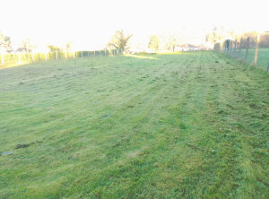 Photo de galerie -  .