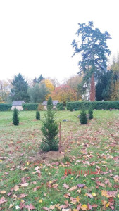 Photo de galerie - Paysagiste - Aménagement du jardin