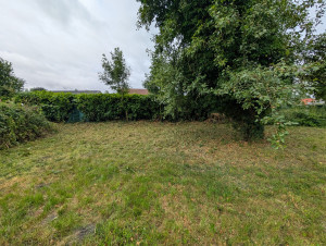 Photo de galerie - Tonte de pelouse - Débroussaillage