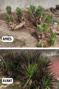 Photo de galerie - Taille divers 