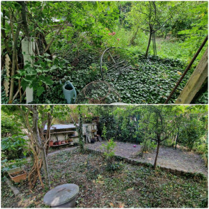 Photo de galerie - Un jardin potager de 700m2 défriché en 2 jours.