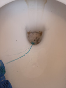 Photo de galerie - Ménage