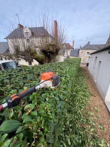 Photo de galerie - Taille de haie