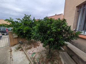 Photo de galerie - Taille de haies et d'arbustes