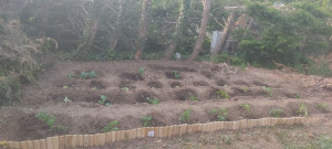 Photo de galerie - Jardinier