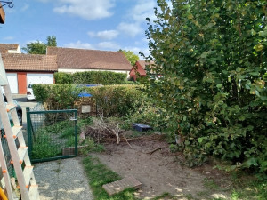 Photo de galerie - Taille de haie