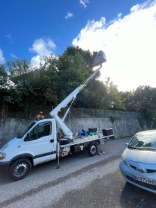 Photo de galerie - élagage 