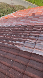 Photo de galerie - ?️