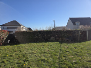 Photo de galerie - Deux petite haie  qui fait en tout 25 mettre linéaire 