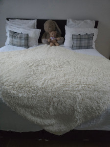 Photo de galerie - Rengement ,faire le lit etc.