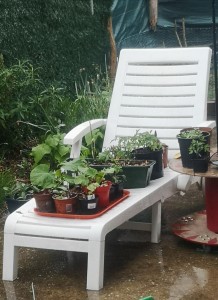 Photo de galerie - Jardinier
