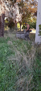 Photo de galerie - Débroussaillage