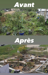 Photo de galerie - Création de jardin 