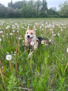 Photo de galerie - ??