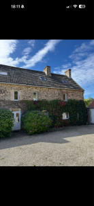 Photo de galerie - Taille de vigne vierge 