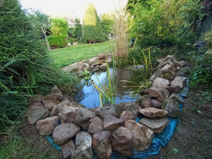 Photo de galerie - Aménagement d'un bassin avec pierre 
et toile de paillage.