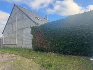 Photo de galerie - Taille de Haie