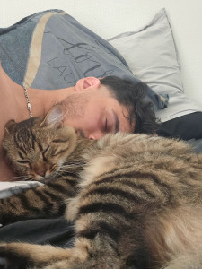 Photo de galerie - Biscuit