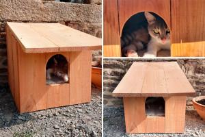 Photo de galerie - Niche pour chat isolée sur palette, avec moquette