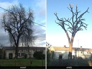 Photo de galerie - Pm