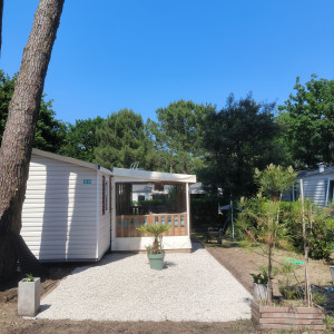 Photo de galerie - Paysagiste - Aménagement du jardin