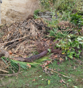 Photo de galerie - .	Déchets verts → “Évacuation déchets verts — Quimper Penhars — après entretien jardin”