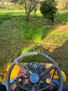 Photo de galerie - Gyrobroyage d’une parcelle 