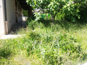 Photo de galerie - Paysagiste - Aménagement du jardin