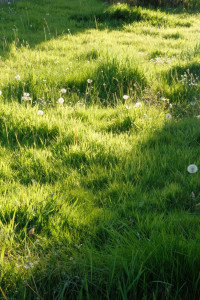 Photo de galerie - ☺️