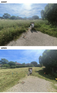 Photo de galerie - Débroussaillage terrain herbes hautes et denses 
