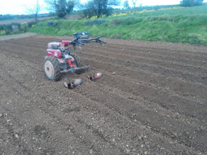 Photo de galerie - .