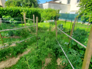 Photo de galerie - Paysagiste - Aménagement du jardin