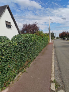 Photo de galerie - Après 