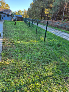 Photo de galerie - Tonte et debroussaillage 