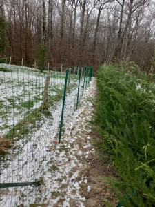 Photo de galerie - Satisfait ? 