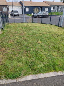 Photo de galerie - Après le débroussaillage et la 