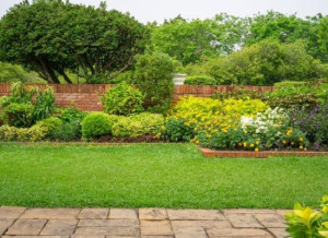 Photo de galerie - Entretien jardin 