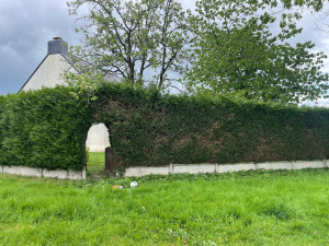 Photo de galerie - Taille de haie à Liffré