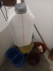 Photo de galerie - Je suis entretien domicile 