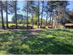 Photo de galerie - Photo après 