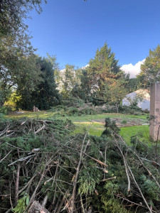 Photo de galerie - Abattage 