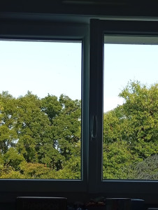 Photo de galerie - Nettoyage vitres 